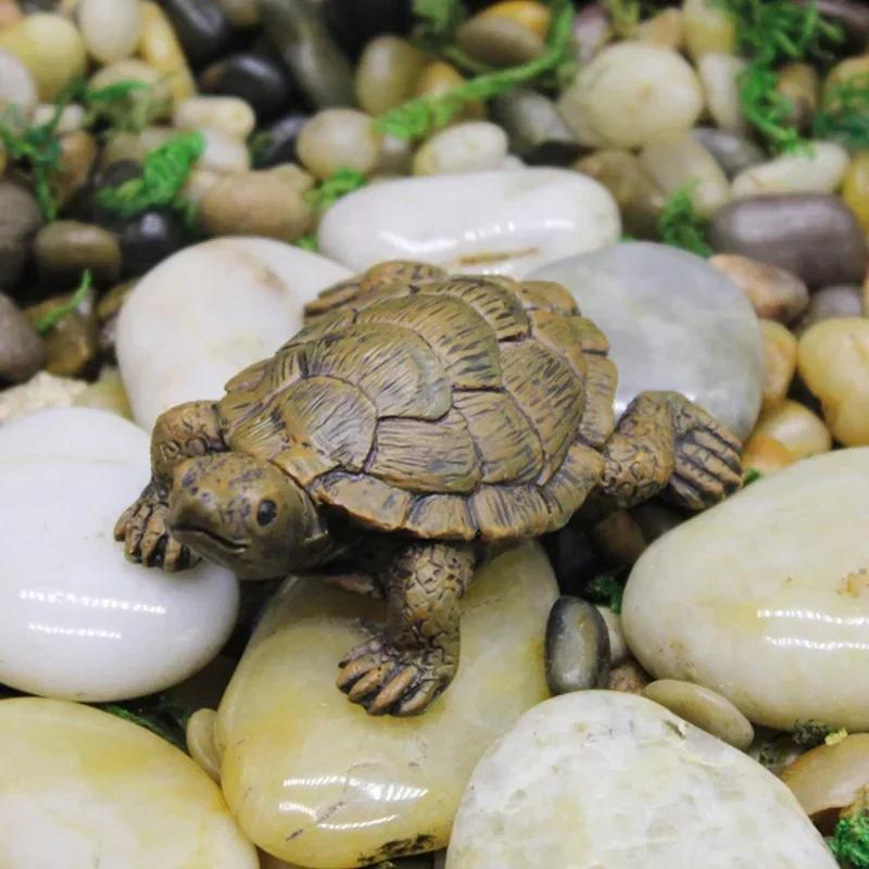 ùķ̼  ź   ũ   ڴ ȭ ,  Ĺ ǰ, Ȩ 